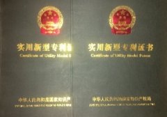 拼装类骨架专利产品证书